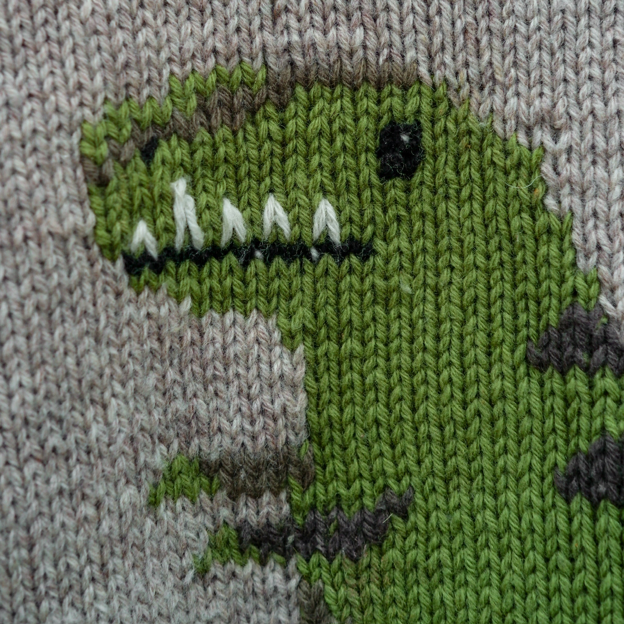Dinosaur Sweater - Dansk