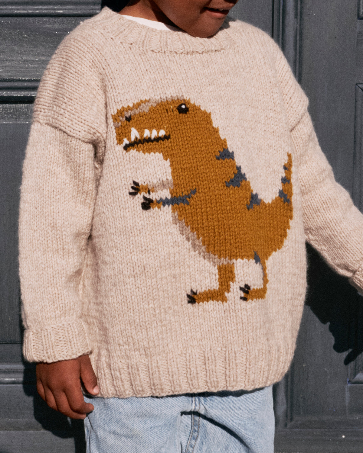 Dinosaur Sweater - Dansk