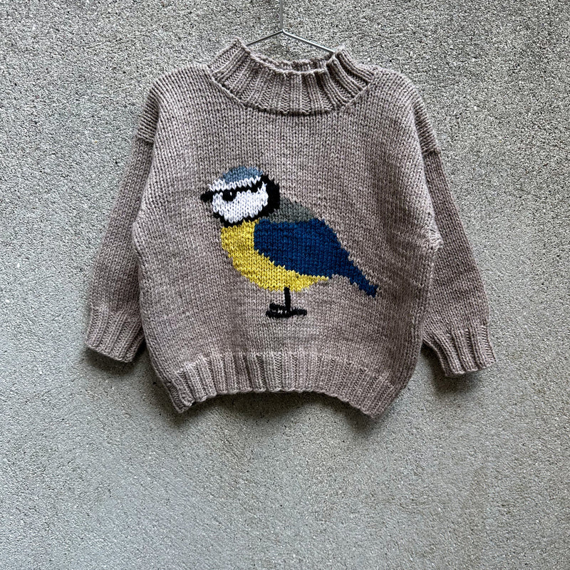 Fuglesweater - Svensk