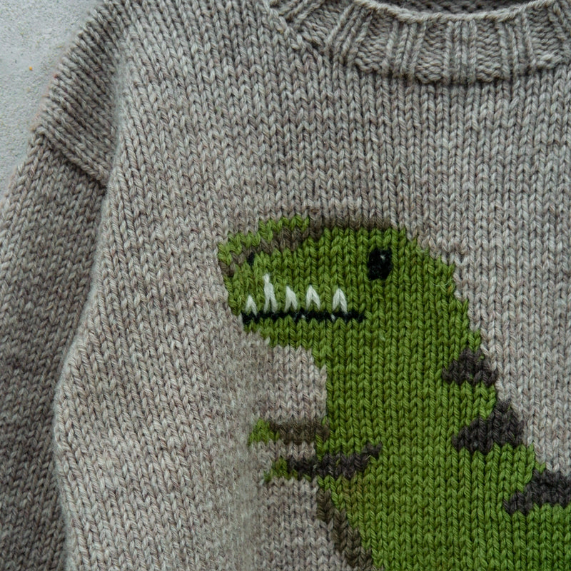 Dinosaur Sweater - Norsk