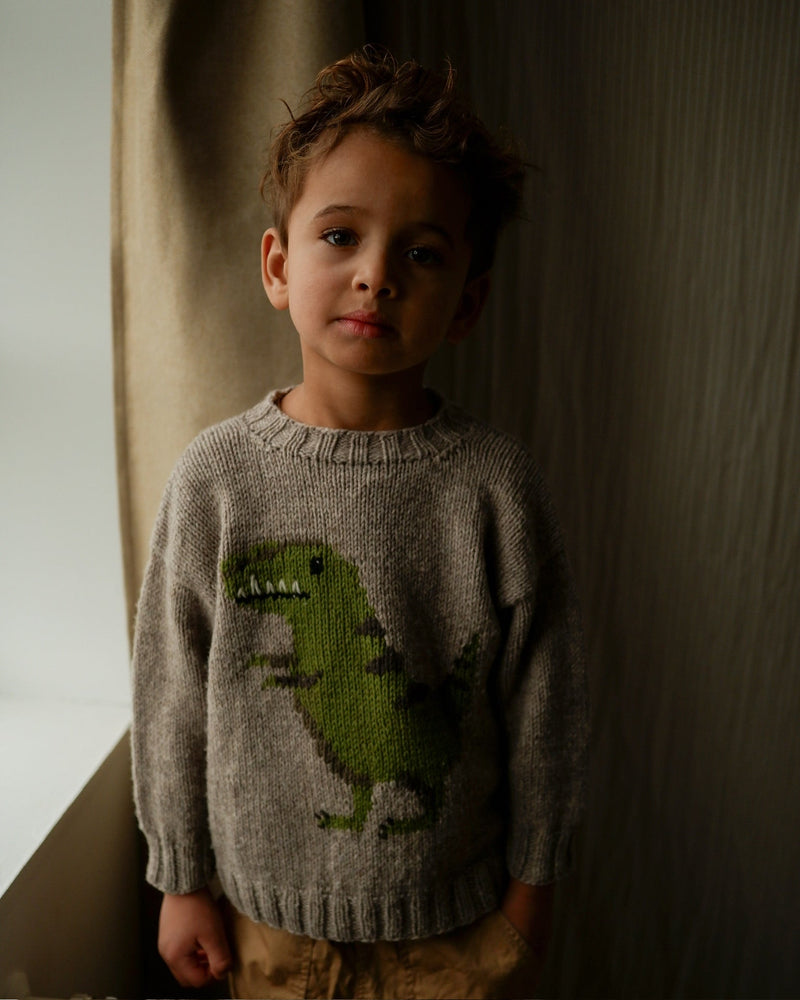 Dinosaur Sweater - Dansk