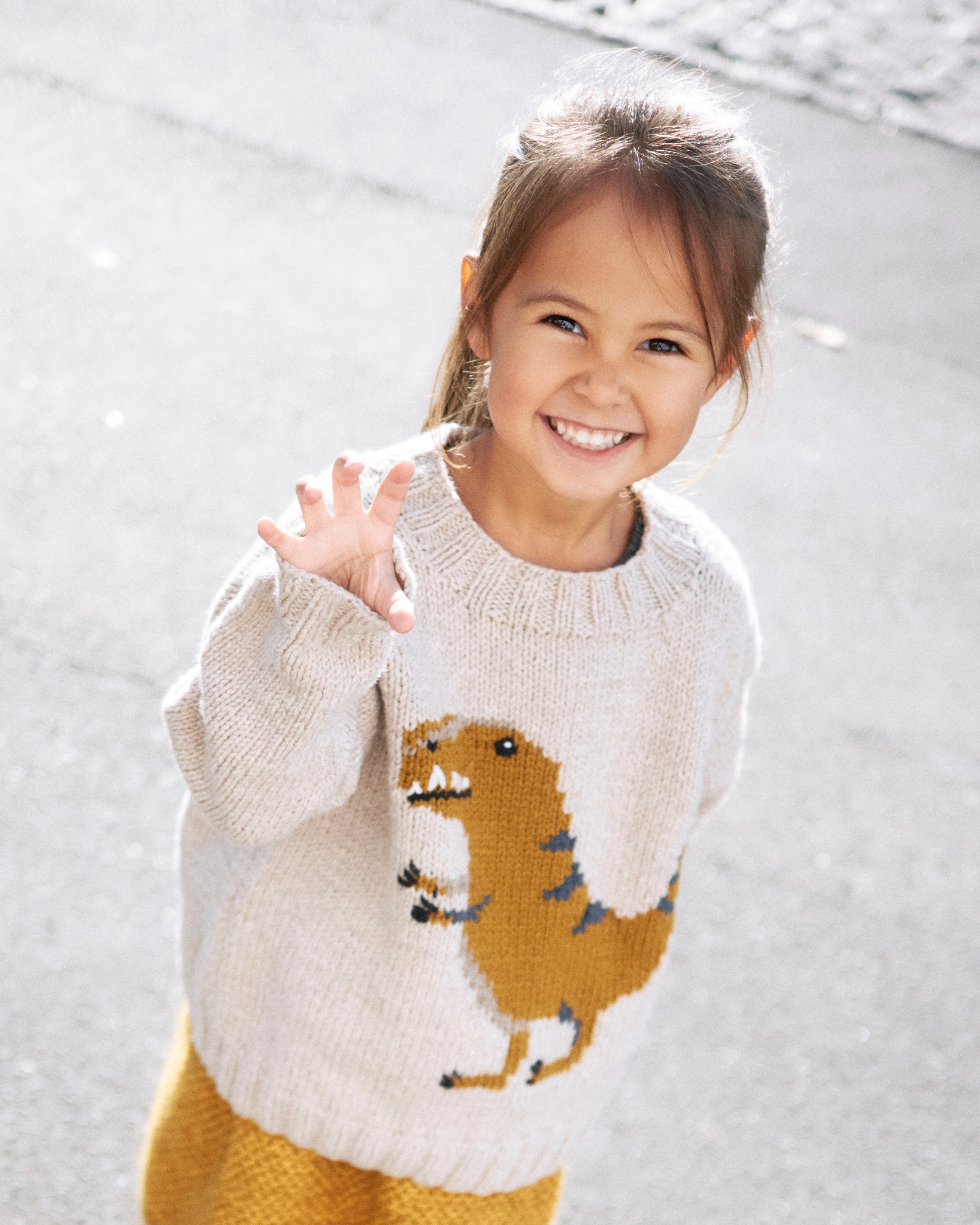 Dinosaur Sweater - Dansk