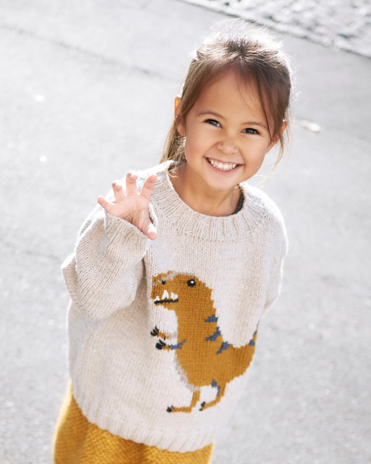 Dinosaur Sweater - Dansk